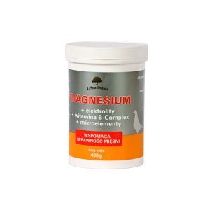 Magnez Proszek 400 G