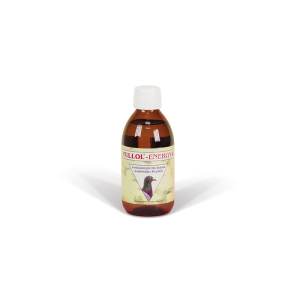 Fullol-Energy 250 ML