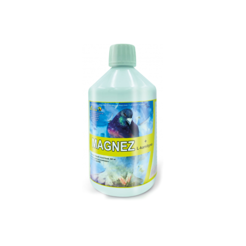 MAGNEZ+L-KARMITYNA.png