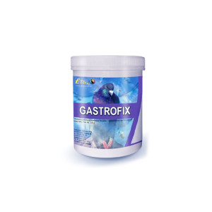 Gastrofix 250 G