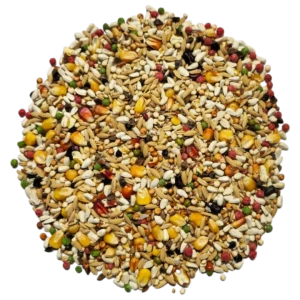 BS+ - Bez Strączkowych Plus 25KG Wysyłka Gratis!