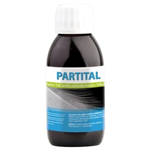 PARTITAL-DLA-GOLEBI.webp