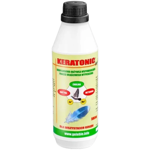 PATRON-KREATONIC-DLA-GOLEBI.webp