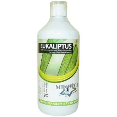 EUKALIPTUS-FORTE-MROWCA-DLA-GOLEBI.webp