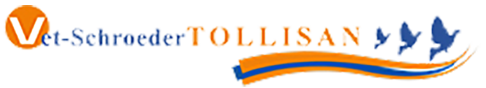 Tollisan