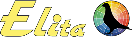 Elita